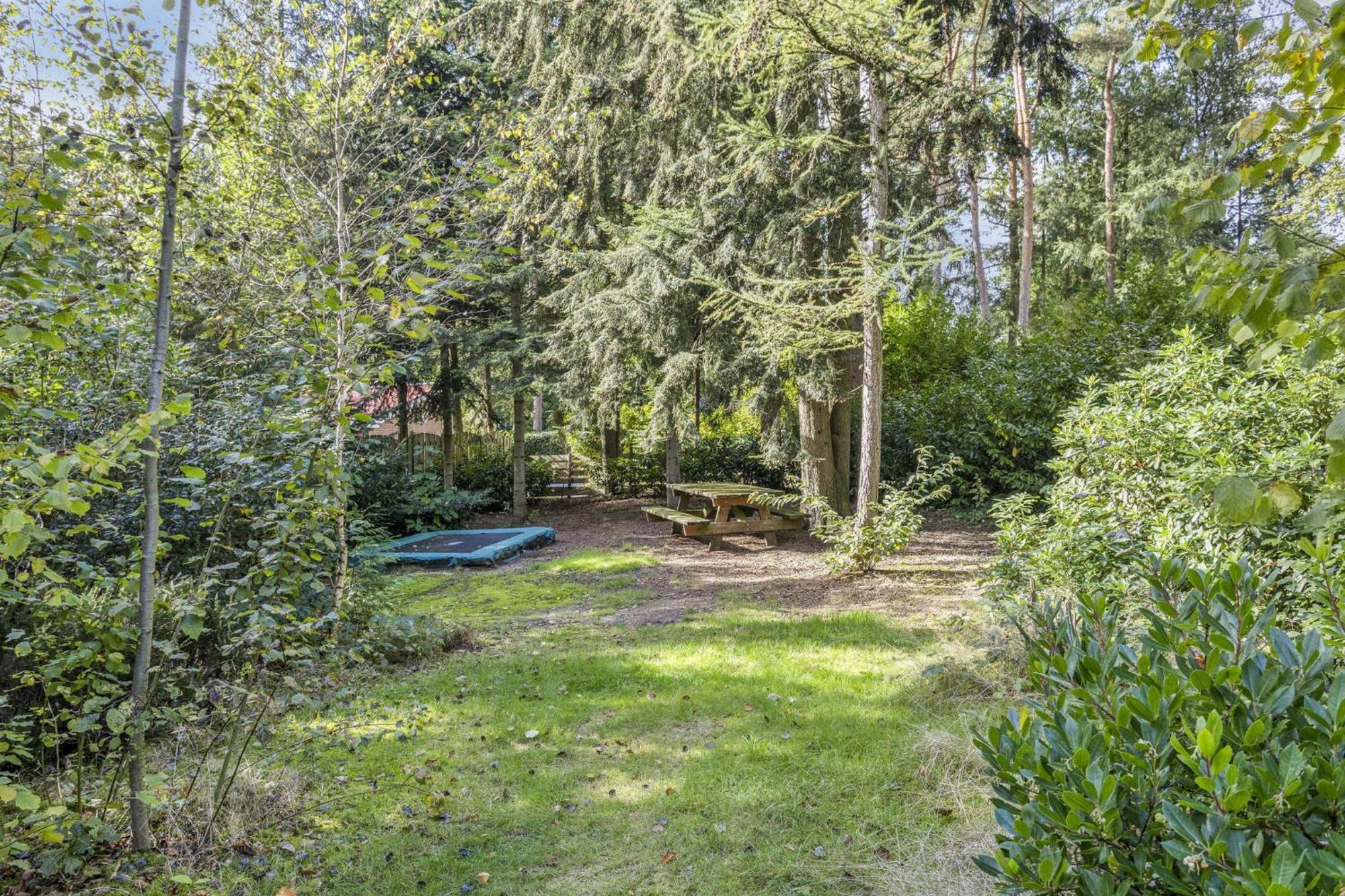 Relaxen In Het Bos Met Privesauna Holten Exterior photo