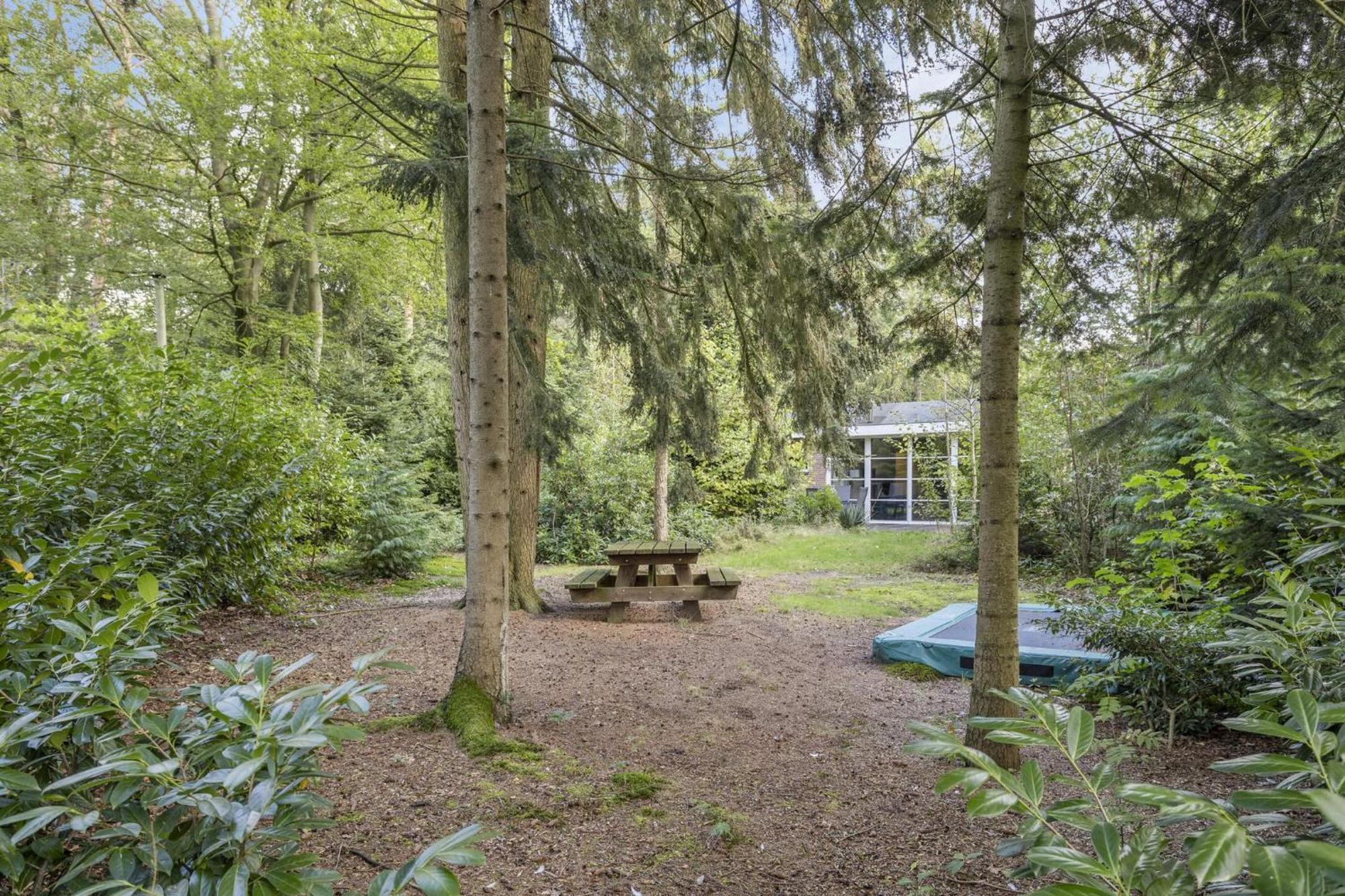 Relaxen In Het Bos Met Privesauna Holten Exterior photo