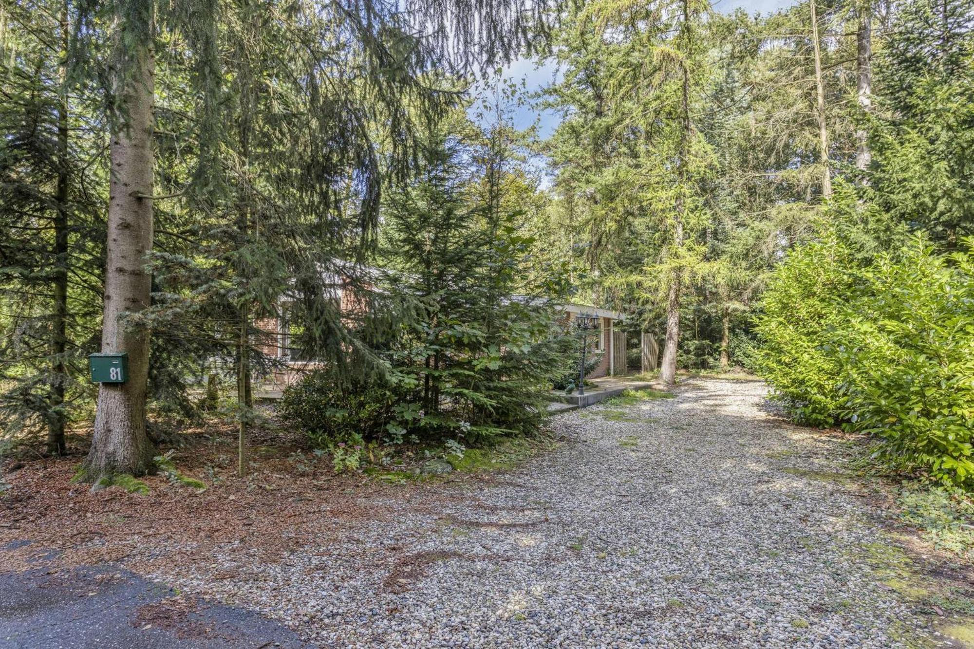 Relaxen In Het Bos Met Privesauna Holten Exterior photo