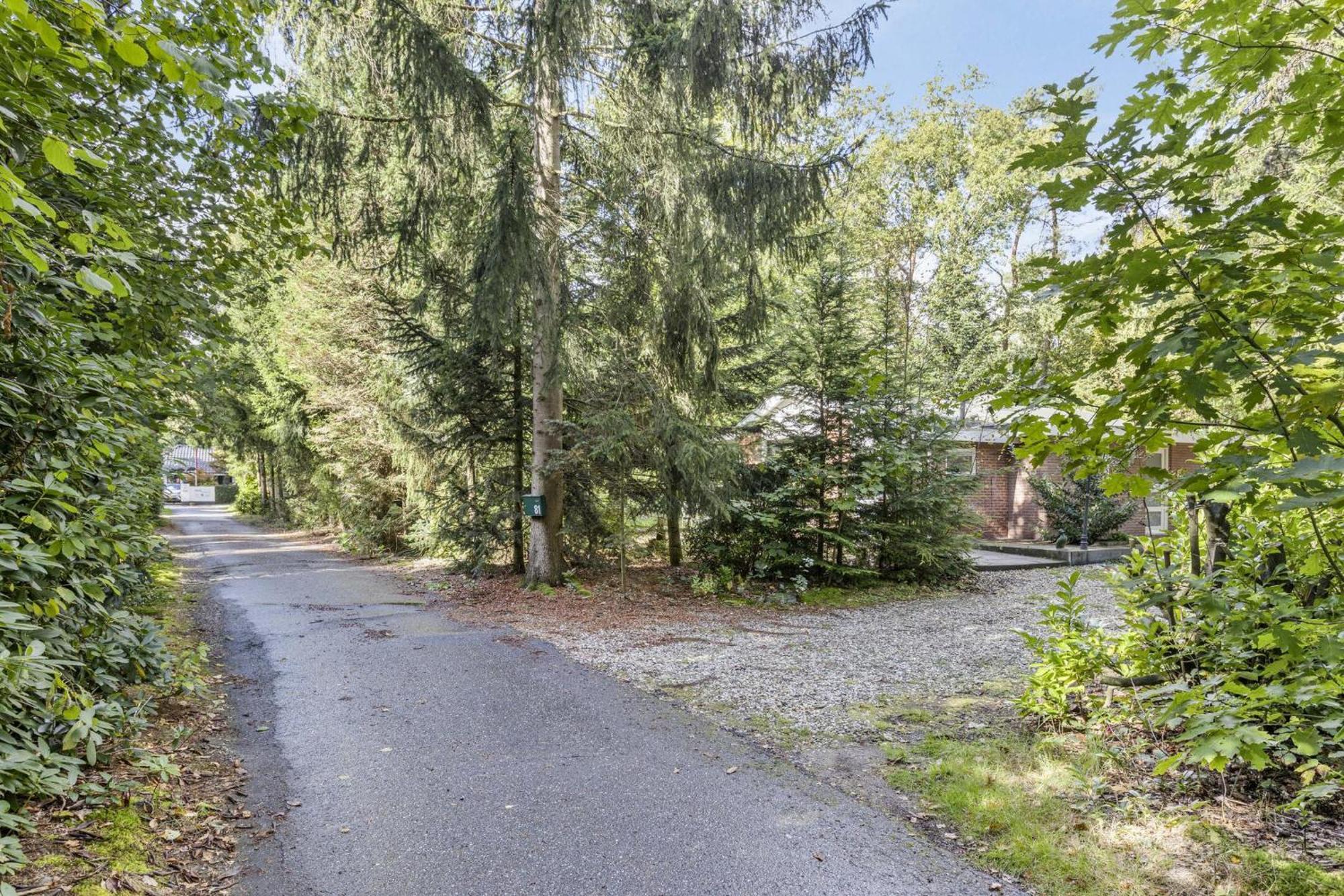 Relaxen In Het Bos Met Privesauna Holten Exterior photo